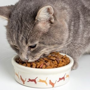 CanineFlex Advanced Joint Formula